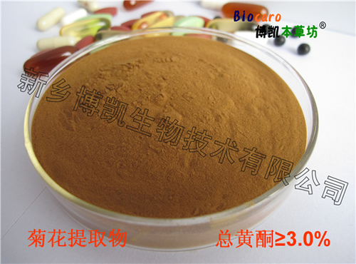 菊花提取物 菊花提取物